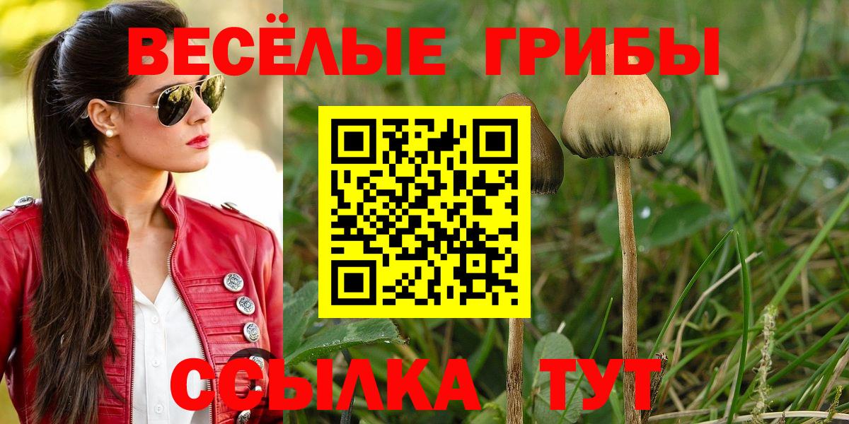 Галлюциногенные грибы MAGIC MUSHROOMS  Вход с VPN  Кызыл 