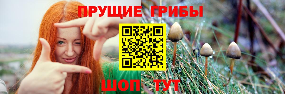 Галлюциногенные грибы мухоморы Кызыл